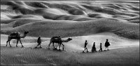 234 - PILGRIMAGE. - BARTAKKE. DEEPAK - india <div